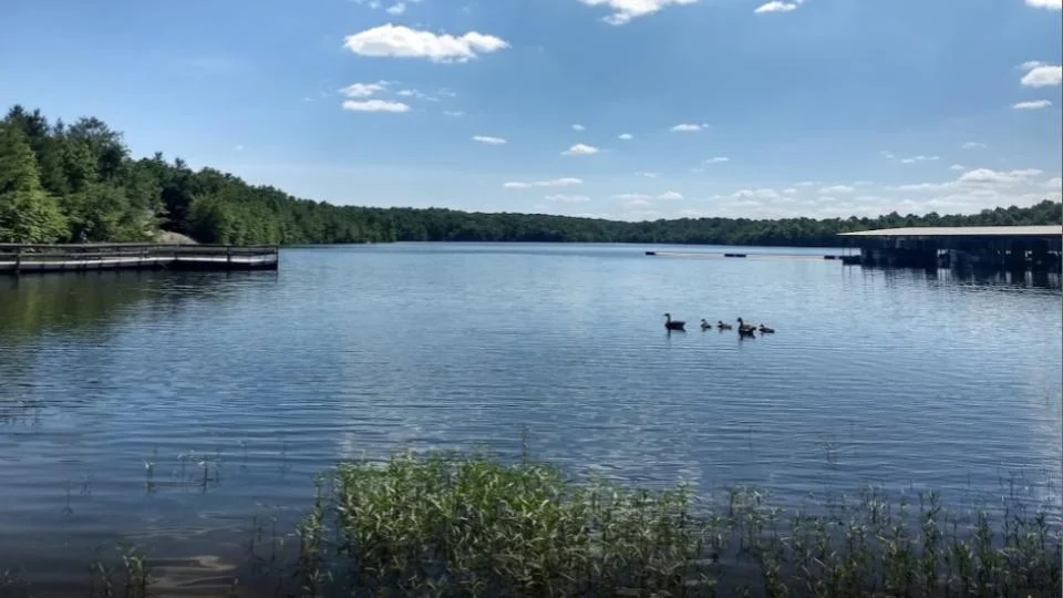 What’s Going On with Water?